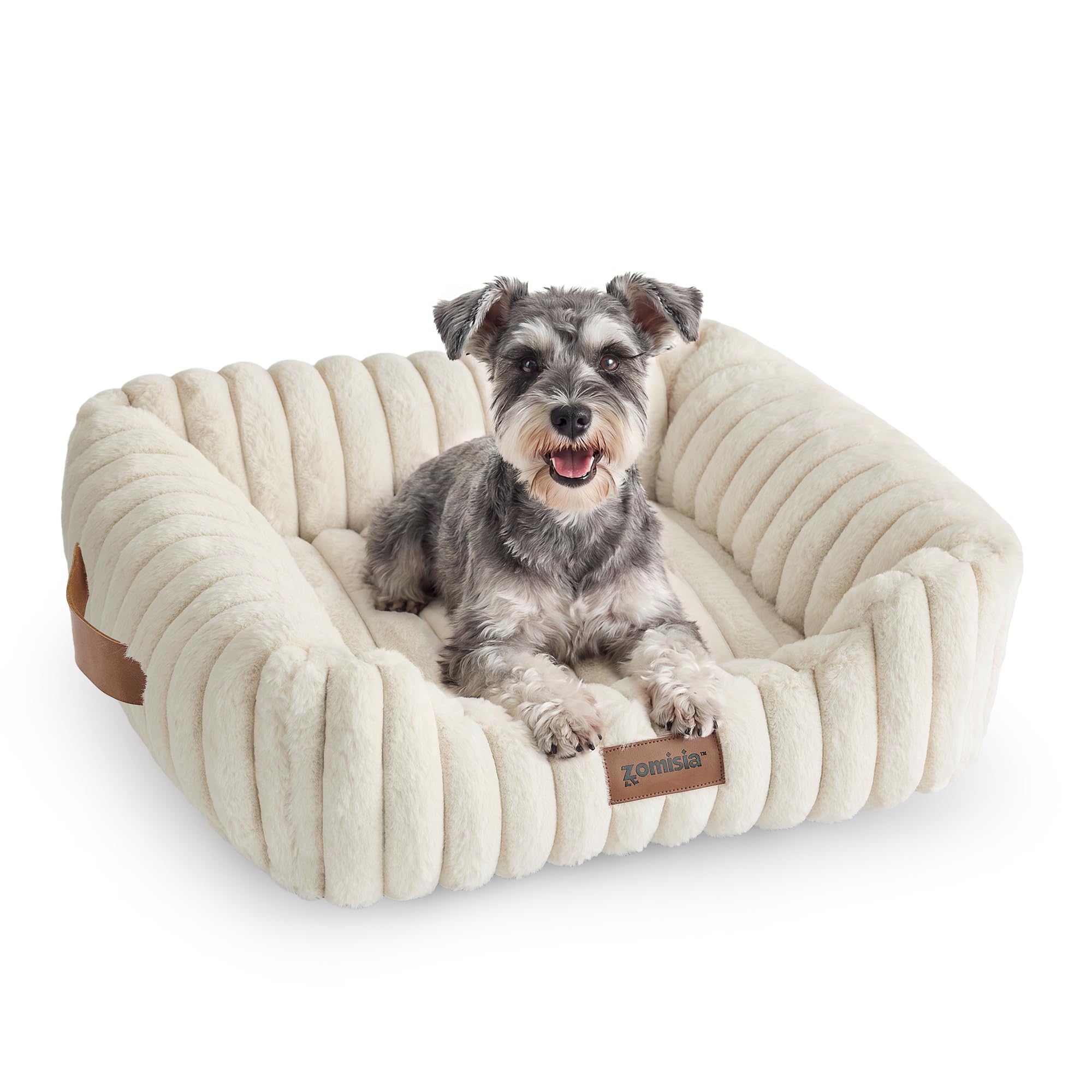 Amazon.com : ZOMISIA Small Dog Bed, Cat Bed for Indoor Cats with